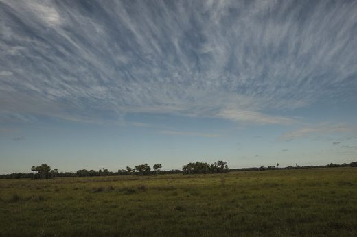 _dsf1676.jpg